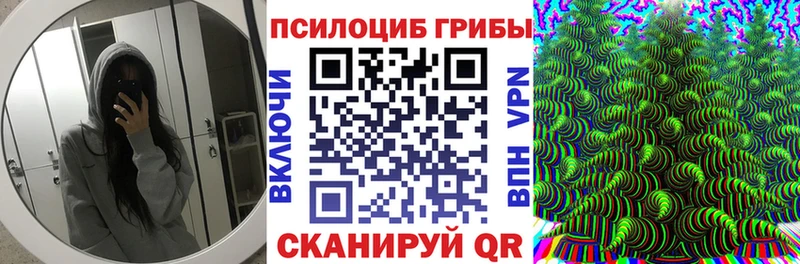 Галлюциногенные грибы Cubensis  дарнет шоп  Камышин 